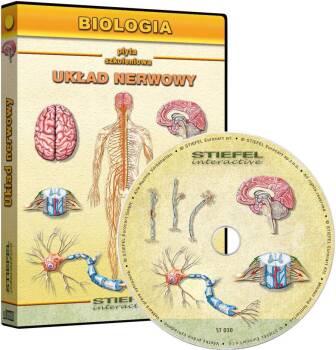 Biologia - Układ nerwowy