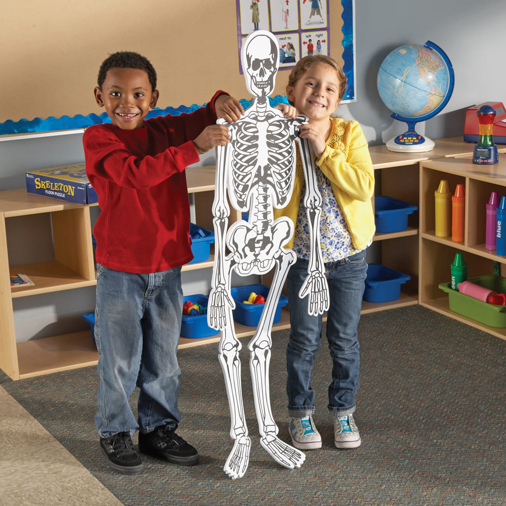 Zabawkowy szkielet człowieka 3d