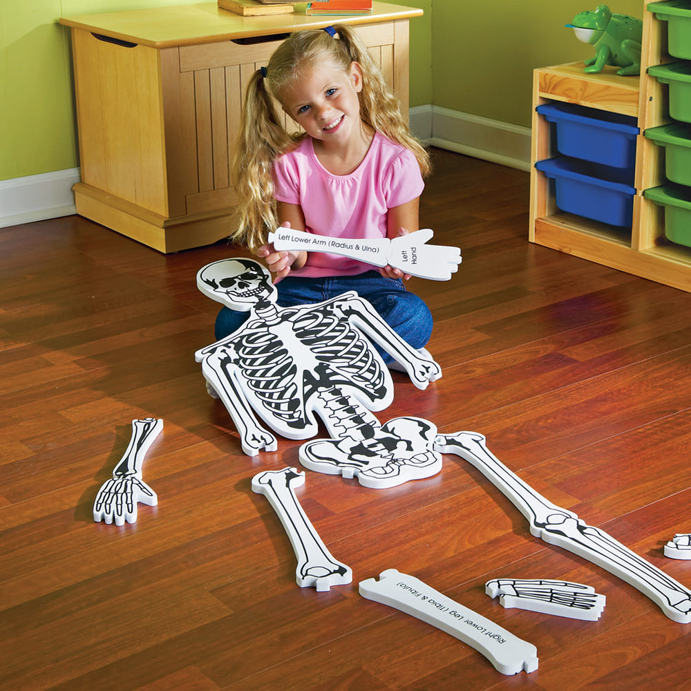 Szkielet po angielsku dla dzieci powyżej 3 roku życia